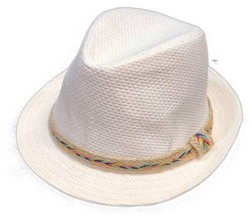 Taylor Multi Color Band Fedora