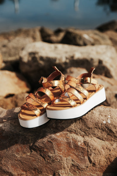 Platform Sandal Kauai Snake-Tan